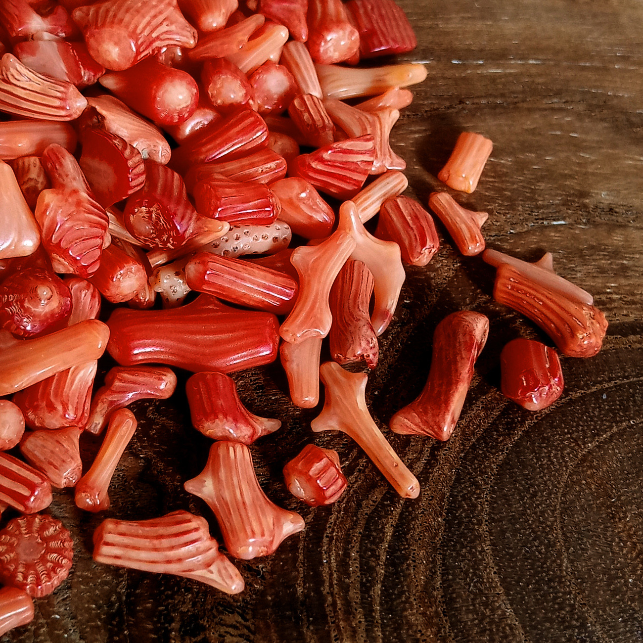 珊瑚アートサンゴ3個セット 81t8umkZq4L._UF894,1000_QL80_.jpg