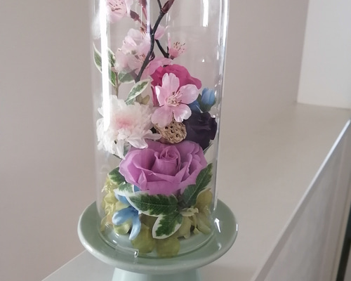 31c84a41ee77b0d5f53b7d4830ca2f