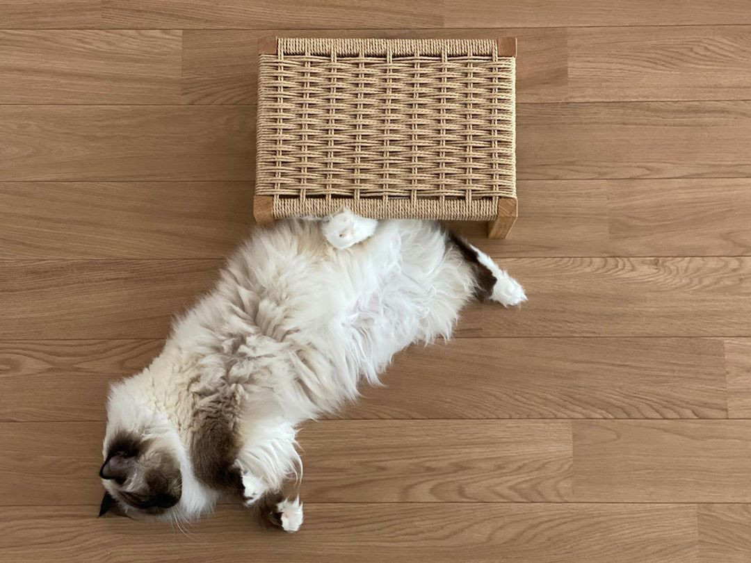 猫の爪とぎ台 　CasaBRUTUS掲載品