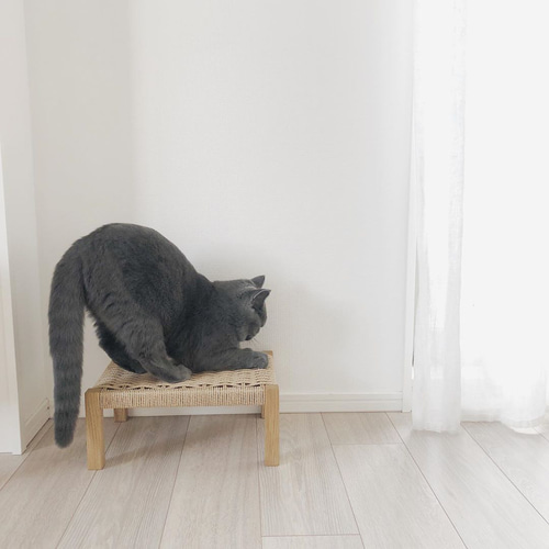猫の爪とぎ台 CasaBRUTUS掲載品 おもちゃ・ペット小物 AEGIR