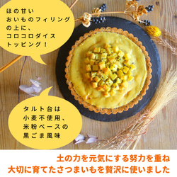 冬季限定＊おいものタルト【グルテンフリー】【卵・乳・白砂糖不使用】 2枚目の画像