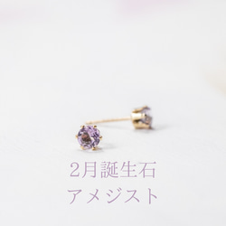 【birthstone/14kgf】誕生石ピアス 2月 amethyst 1枚目の画像