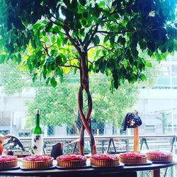 今年もお届けします！]【１日の作成台数限定】「50枚のりんごの花びらが作る深紅のバラのレアチーズタルト」 9枚目の画像