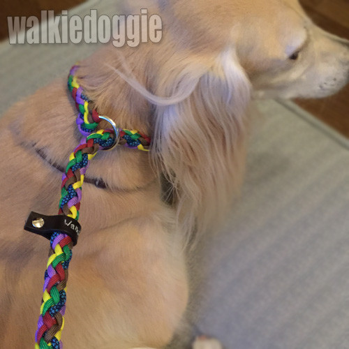 パラコード手編みスリップリード・フルチョークタイプ#231 大型犬・超