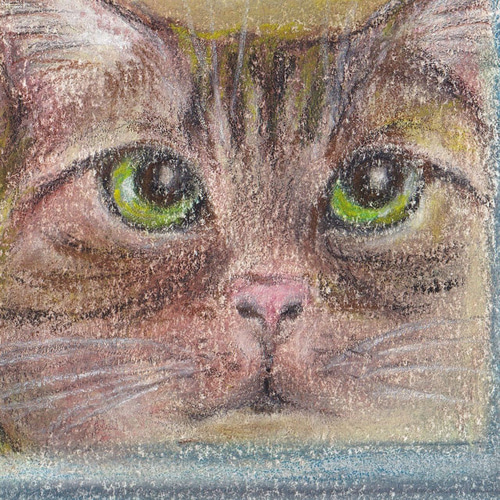 クリスマス 窓のネコ（パステル画 原画） 絵画 にゃんずら 通販