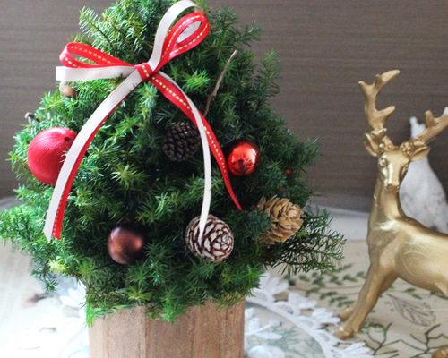 FOXEY ノベルティ　ミニクリスマスツリーとミニ針山 FOXEY ノベルティ ミニクリスマスツリーとミニ針山 FOXEY