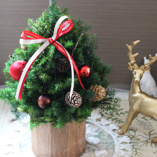 クリスマスツリーミニ プリザーブドフラワー petit chocolat