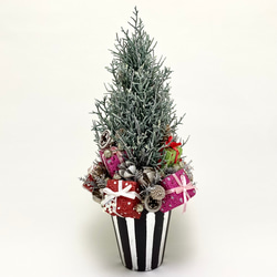 クリスマスツリー　ギフトボックス 4枚目の画像