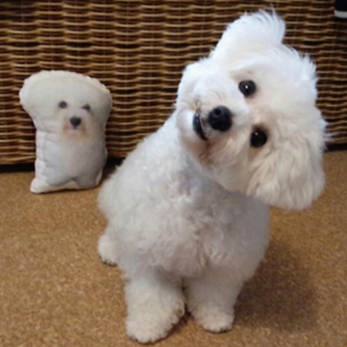 犬 猫 ペット クッション メモリアル ぬいぐるみ うちの子