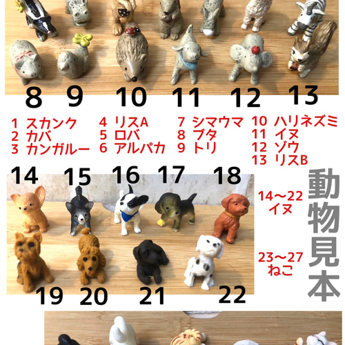 カバ？サインぺン