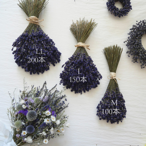 北海道ラベンダー100本スワッグ。ドライフラワーブーケ花束ギフト