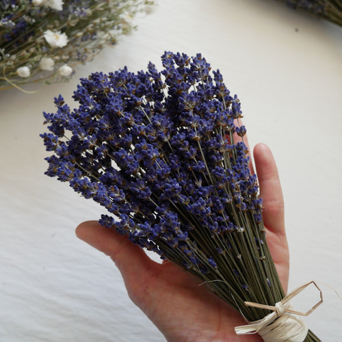 バラ ユーカリ ラベンダー 数百本 ドライフラワー ドライフラワースワッグ☆薔薇レインボー☆ラベンダー☆ユーカリ