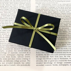 銀こうもりのネックレス 8枚目の画像