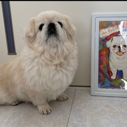 [A4尺寸]寵物肖像禮物OK！附彩虹藝術框 第11張的照片