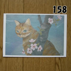 猫の和風ポストカード（選べる5枚セット） 16枚目の画像