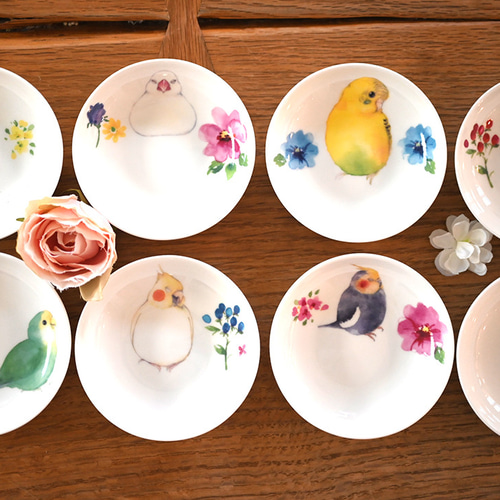 カラフルなインコの絵皿27センチ インコ・鳥 小皿・豆皿 4点セット（80羽の中からお好きな鳥