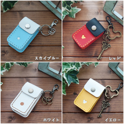 【受注製作】【LIXIL】 オーダーメイドなカラフルスマートキーケース 【送料無料】 16枚目の画像