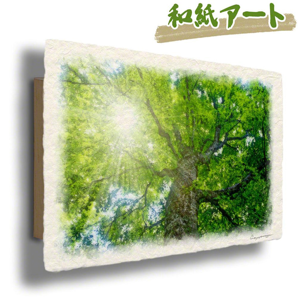 和紙の絵写真 アートパネル 「木漏れ日と新緑のブナの大木」 絵画 インテリア 玄関 風水 絵 風景画 版画 油絵 1枚目の画像