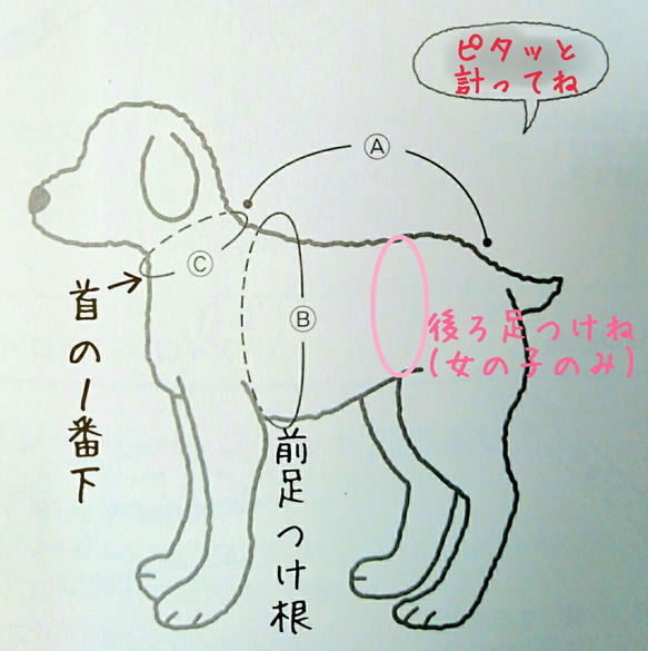 再販！ ミルクティー色のリブニット☆  小型犬M～LL 10枚目の画像