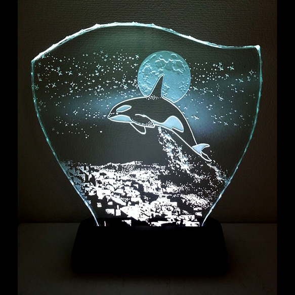 Steinさん専用 【正規品】宇宙ガラス ＋α 星降る夜・シャチ （ガラス：Mサイズ） SCULPTORIUM ガラスエッチング