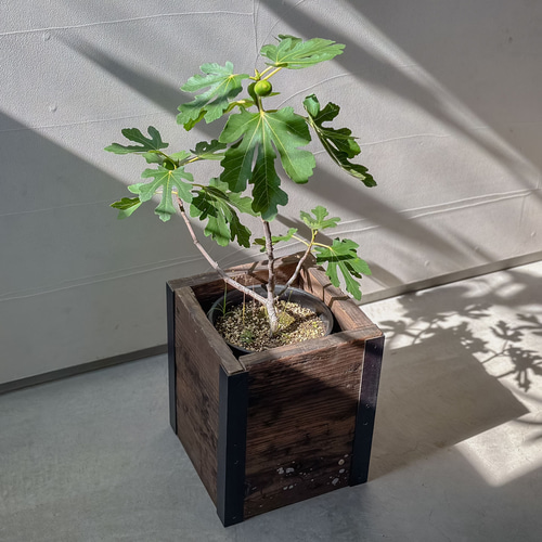 送料無料／[Old Planter Cover]古材プランターカバー 7~12号鉢サイズ