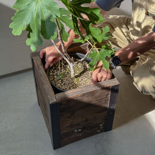 送料無料／[Old Planter Cover]古材プランターカバー 7~12号鉢