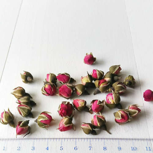 つぼみ ローズ 60個 (ドライフラワー 小分け 花材) その他素材 原色