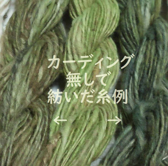 【在庫処分/実綿】緑綿の青みや灰色など混色　約20g (種付)　 無染色・自家自然栽培綿 4枚目の画像
