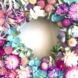 【再販、受注制作】紫陽花と千日紅&貝細工(ヘリクリサム)のリース 7枚目の画像