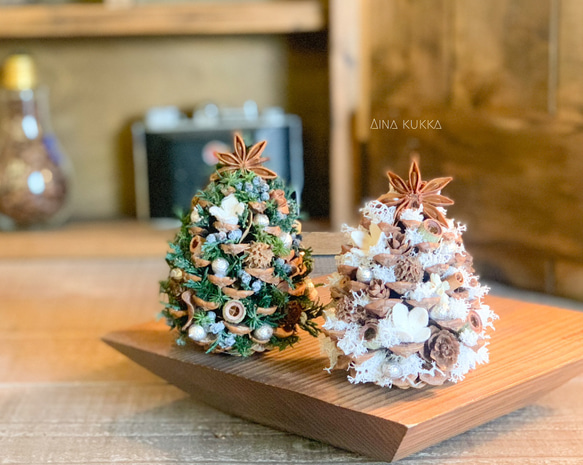 Xmas[松ぼっくりのミニツリー]カラー4種/プリザーブド・ドライフラワー