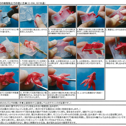 出目金立体型  シリコンモールド/レジン 2枚目の画像