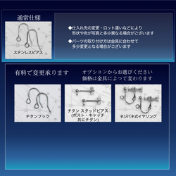 泉竜の息 シンプルピアス 14×10mm ステンレス 5枚目の画像