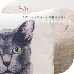 クッションカバー 45×45cm ロシアンブルー  黒猫 Ginny & I jubileecushionpt005 2枚目の画像
