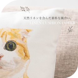 クッションカバー 45×45cm マンチカン Ginny & I 猫 jubileecushionpt006 2枚目の画像