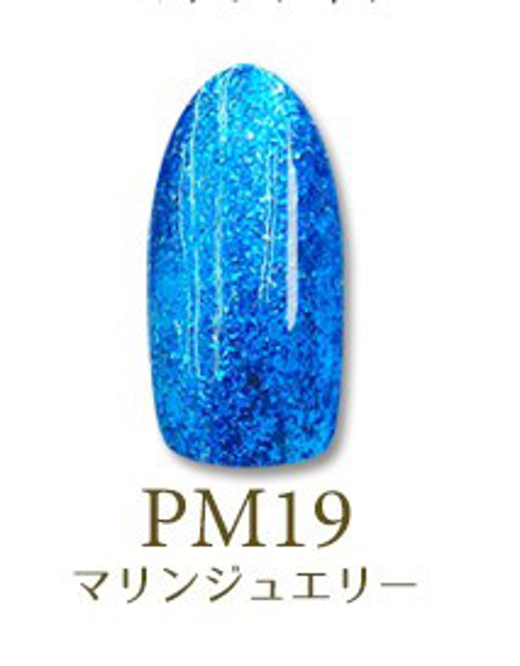 【ＰＭ１９】白金プラチナの輝き　最新型スパークリングラメジェル　超微粒子 1枚目の画像