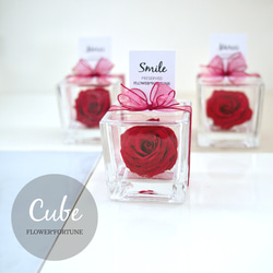 CUBE | Rose 3枚目の画像