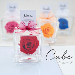 CUBE | Rose 2枚目の画像