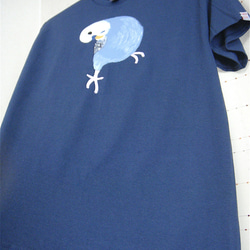 首をかしげるセイインコ・モフモフ白青水色インコ・メンズMタグ（レディLサイズ）ブルーダスク・手描きTシャツ 5枚目の画像
