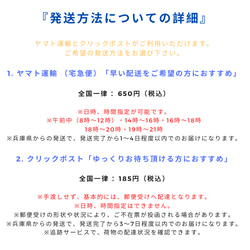 『レザーロイヤルコインケース カラフルモデル６色展開』持つだけで気分が上がる国産レザー使用の小銭入れ！アクセサリー入れ☆ 12枚目の画像