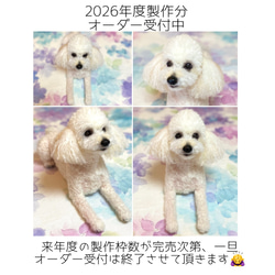 ホワイトタイガー 羊毛フェルト Take Me Home 通販 14756250｜Creema