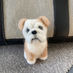□送料無料□羊毛フェルト犬｜羊毛フェルトマルチーズ｜マルプー