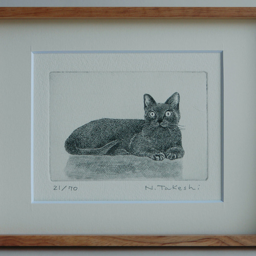 猫の額付き銅版画 title アマテラス （お昼寝の猫 / 銅版画 (額あり 