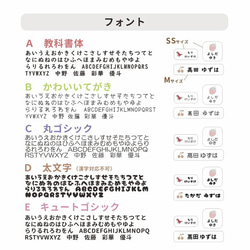  第6張的照片