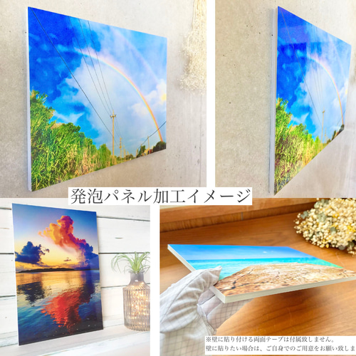 ガジュマルの木【写真サイズやパネル加工・フレーム付きが選べる