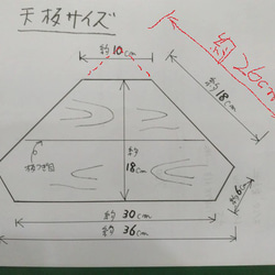  第7張的照片