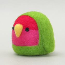 本トリ No.69 カルカヤインコ / 羊毛フェルト リアルサイズ 羊毛