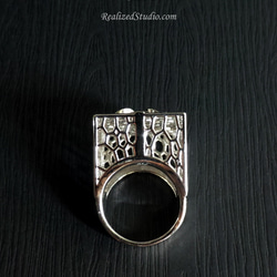 禮盒 - 弗羅格狂熱系列 - 珠寶鍍金925純銀戒指 第3張的照片