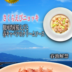 《期間限定》さくらえびニョッキ駿河湾産桜えびと春キャベツのクリームソース(2〜3人前) 6枚目の画像