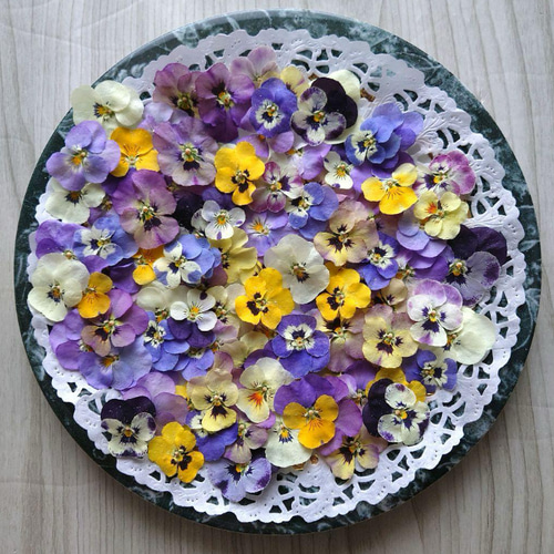 本物ビオラとスワロフスキー の紫陽花添え♡ポニーフック