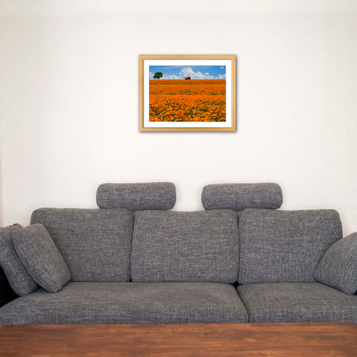 A3サイズ】ORANGE ON THE ORANGEO （オレンジの上のオレンジ） 写真